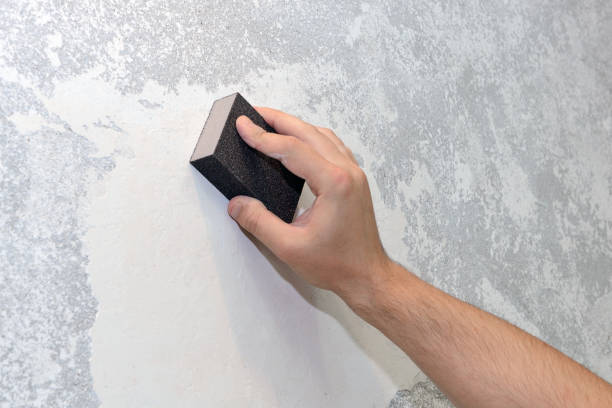 Best Mold Prevention Services  in Bradford, RI