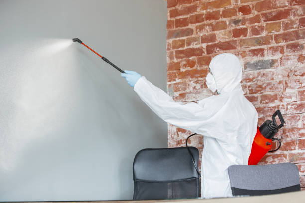 Best Indoor Air Quality Assessment  in Bradford, RI