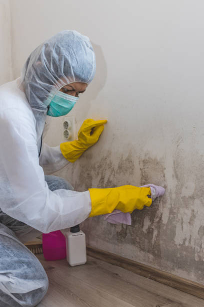 Best Post-Construction Mold Inspection  in Bradford, RI