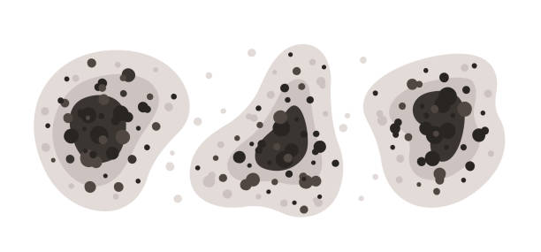 Best Air Quality Testing for Mold Spores  in Bradford, RI