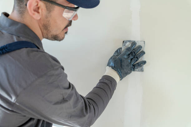 Best Mold Damage Restoration  in Bradford, RI