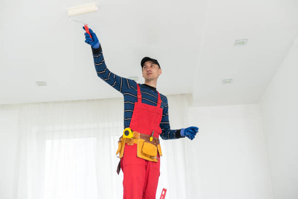 Best Mold Removal for HVAC Installations  in Bradford, RI