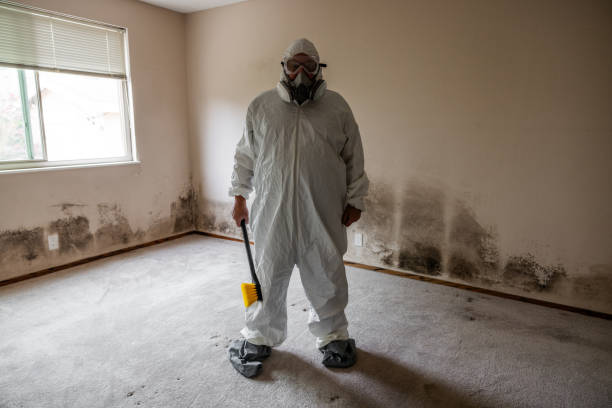 Best Mold Remediation for Vacation Homes  in Bradford, RI